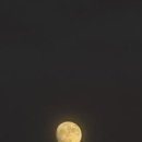 자두자두자