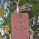 경주시장애인종합복지관 | [파주 운정다누림장애인복지관] 추석한마당 봉사활동후기