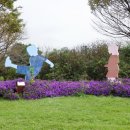 새하늘어린이집 이미지