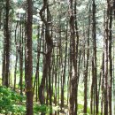 방배역 1번출구 앞 이미지