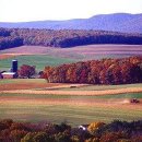 천식농장 이미지