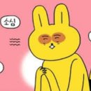 활밤로 네이버블로그