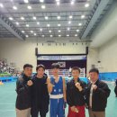 버팔로 복싱 이미지