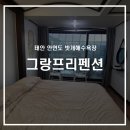 안면도 밧개해수욕장 그랑프리펜션 내돈내산 후기