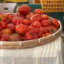 농부바게트 | 1만명 몰리는 마르쉐 농부시장 성수 언더스탠드에비뉴...과일 등 제철재료 구매후기(ft. 마르쉐 8월 일정)