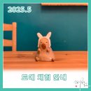 순도리공작소