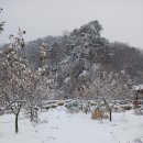 도로시민박 이미지