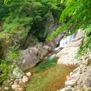 밥풀꽃 | ◆ 지리산 반야봉과 노고단의 아름다운 야생화 &amp; 뱀사골 계곡의 폭포들