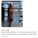 더 리얼 짐 이미지