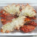 바다클라쓰 이미지