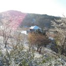 해로수중 이미지