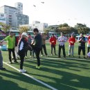 서산초교 이미지