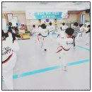 용인대학사태권도장 이미지