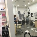 펫 파라다이스(pet paradise) 이미지