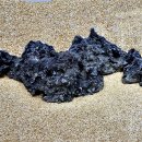 1004섬수석미술관 이미지