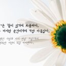 더프라임병원 이미지