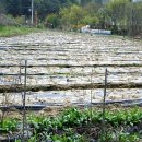 황골농장 이미지