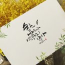 캘리송 이미지