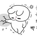 카페샐럽