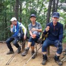 박순길농장 Daum카페