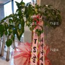 영주골프연습장 | [경상북도 영주] 골프연습장 및 스크린골프장 이전 설치 및 인테리어 가격?