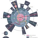 앞산순환로 이미지