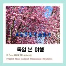 에고, 독일 Bonn 지역 벚꽃 명소와 10군데 추가 이미지