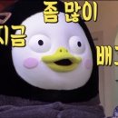 비바릴리 - 세종특별자치시 | 비바릴리