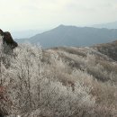 은혜동산 이미지