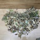 남양주별가람유치원(공립) | 공립단설 별가람유치원 수직정원 정비