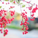 한길여인숙 이미지