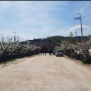 원조태능갈비 이미지