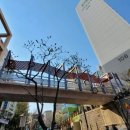 삼성테마트 앞 이미지