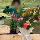 꽃으로 힐링하는 플라워 클래스 이미지