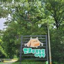 한코관광농원야영장 네이버블로그