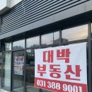 인덕원 금빛태권도장 네이버블로그