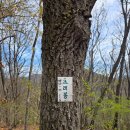 대원1리+대원2리 경로당 | [경주시 산내면] 정족산~장륙산~육장굴