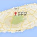 오라관광㈜ 이미지