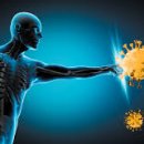 자주고름 이미지