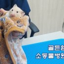 찬샘동물병원 이미지