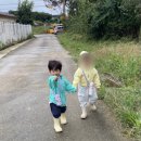 희원농장 | 25년 10월 일상 (이천 키즈카페 도드람테마파크, 새 네일, 여주 꼬막짬뽕 꼬짬, 여주 카페 무이숲...