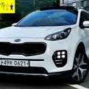 황금카모터스 이미지