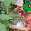 소나무 유치원 이미지