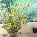 자연의 색 물들이기 이미지