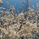 맥스아웃 휘트니스 정발산점 이미지