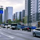 메디인병원앞 횡단보도1 | 매교역 팰루시드 | 수원 비규제지역 신축 래미안 아파트 분양권 매수 솔직 후기 (1편)