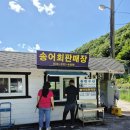 평창회수산 | 평창 송어회 맛집 추천, 용천수산에서 포장해온 신선한 송어회 후기