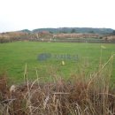 시흥리-4 이미지