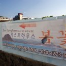 제주게스트하우스봄꽃 이미지