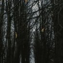 현대 컴퓨터 이미지